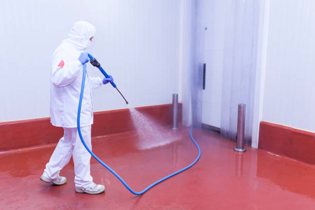 Best Spring Cleaning  in Uniondale, NY