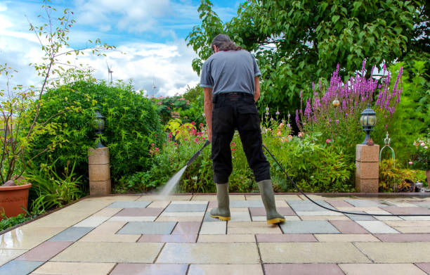 Best Animal Enclosure Cleaning  in Uniondale, NY